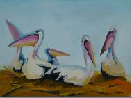 Пять пеликанов.