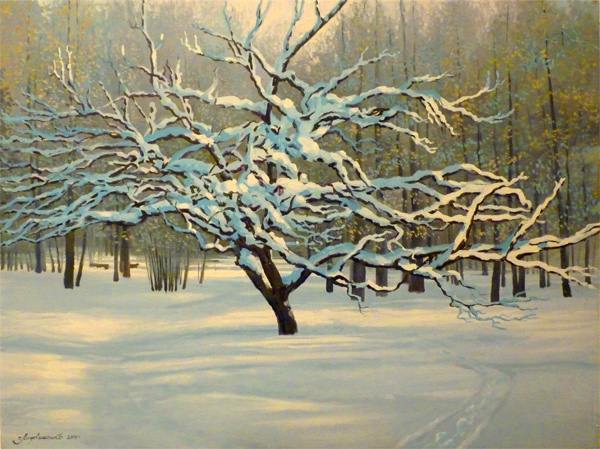 дерево, снег, парк, свет