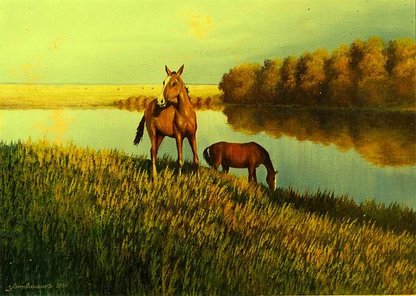 лошади, река, трава, свет, вечер