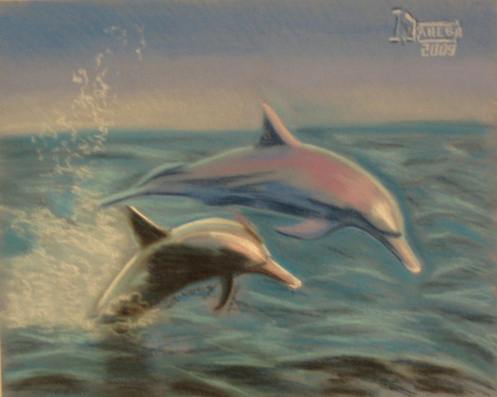 дельфин, животное, море, небо