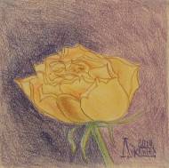 Жёлтая роза... (4)
