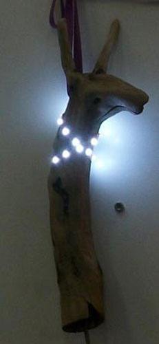 , ,  ,  ,   ,  , LED lamp, LED and driftwood
