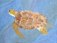 Морская черепаха. Sea turtle.
