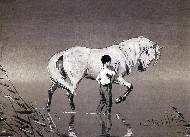 Мальчик с лошадью