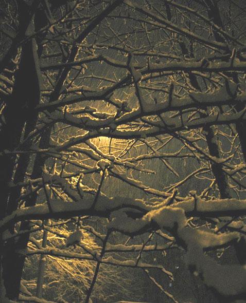 Снег ночь свет