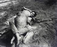 Lauren Hutton wrestling alligator. Miami, 1989
