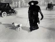 Femme aux renards ou Arlette Prevost Dite Anna La Pradvina Avec ses chiens