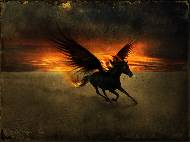 «The Pegasus Of Apocalypse»